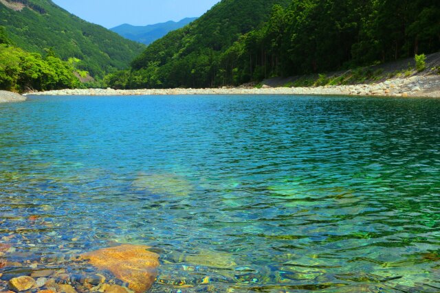 夏の清流