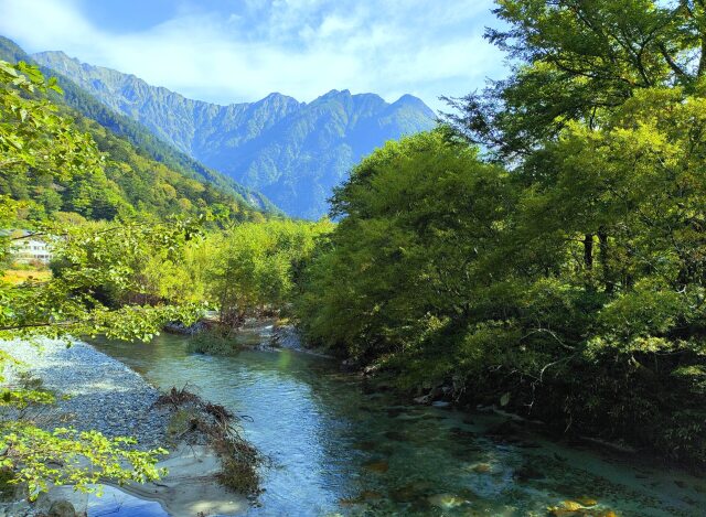 夏の水辺