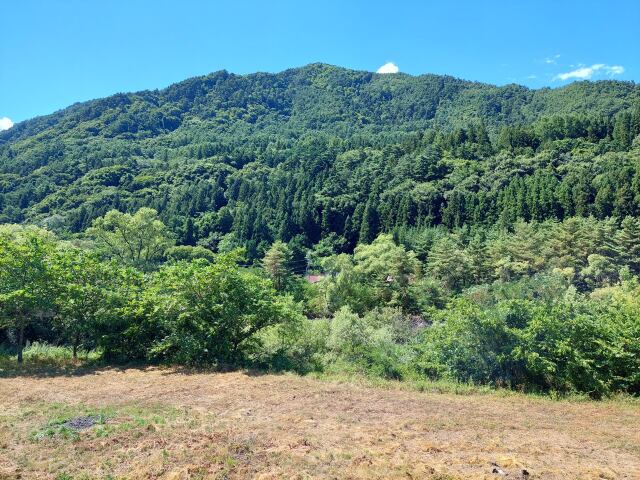 真夏の信州の山々