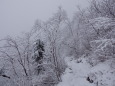 雪の登山道