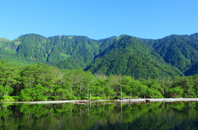 夏の大正池