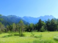 夏の田代湿原