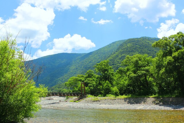 夏の明神橋