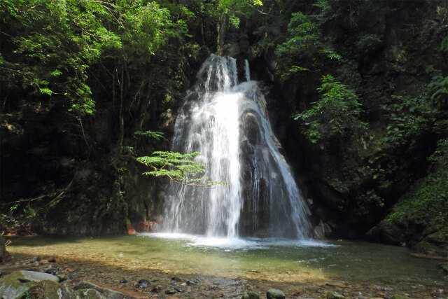 渓流 夏 50 滝