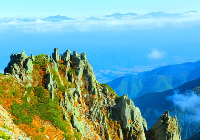 夏の駒ヶ岳