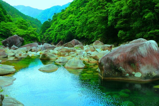 夏の清流