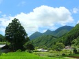 夏の里山