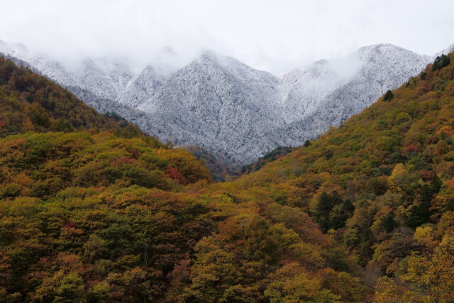 紅葉と新雪