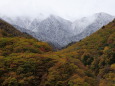 紅葉と新雪