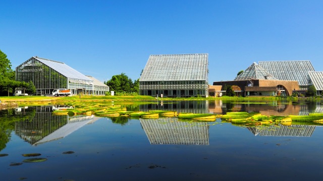 夏の富山県中央植物園