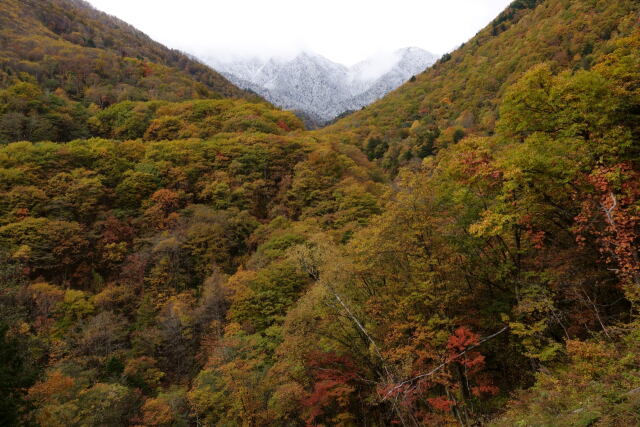 三脵の紅葉