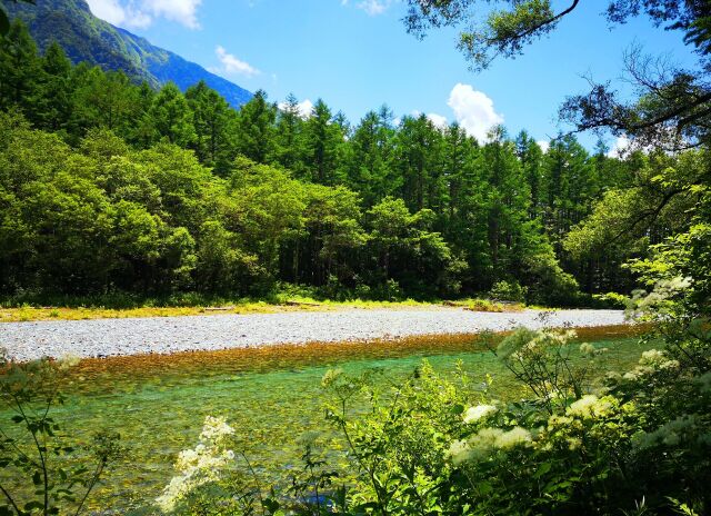 夏の清流