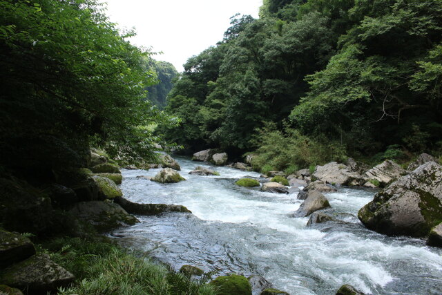 雄川の滝遊歩道から雄川を望む