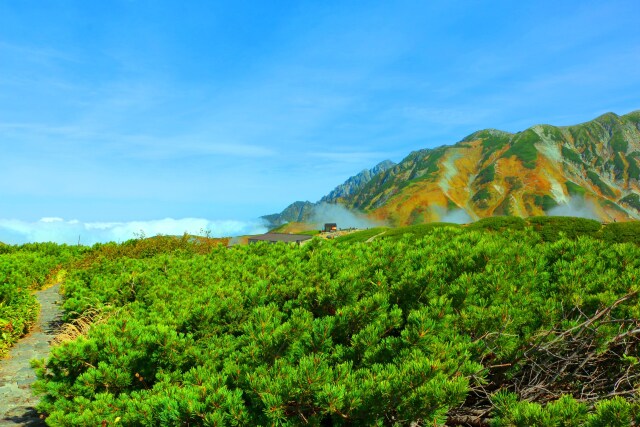 立山室堂