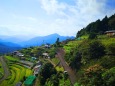 夏の里山