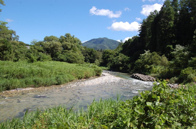 夏草や 兵どもの 川下り 2023年