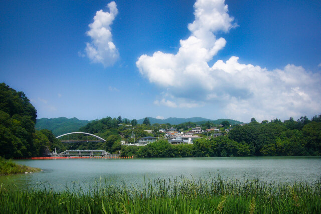 残暑の高遠城址公園南口