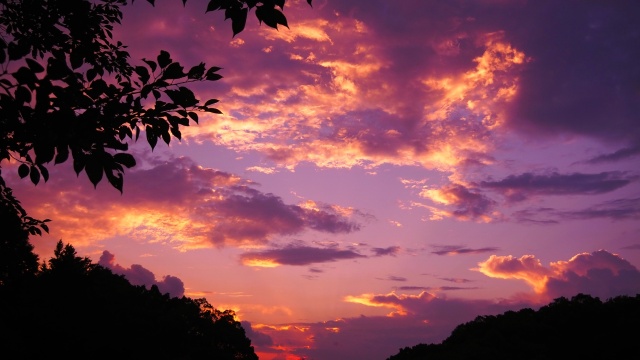 奈良の夕景