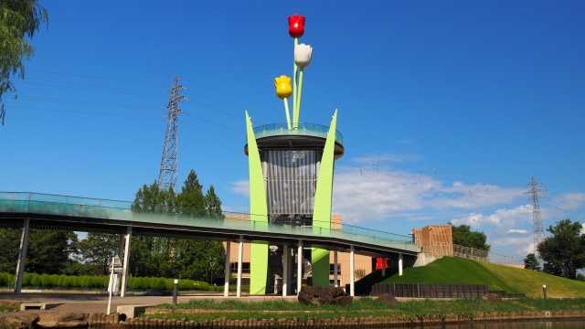 夏の砺波チューリップ公園