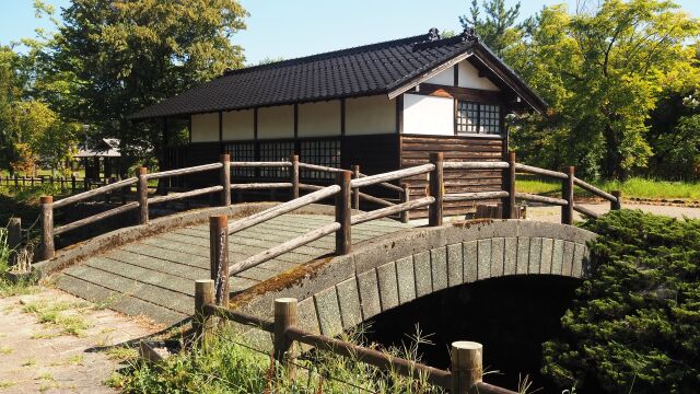 夏の砺波チューリップ公園