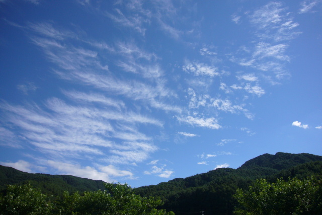 秋のすじ雲、爽やかに。