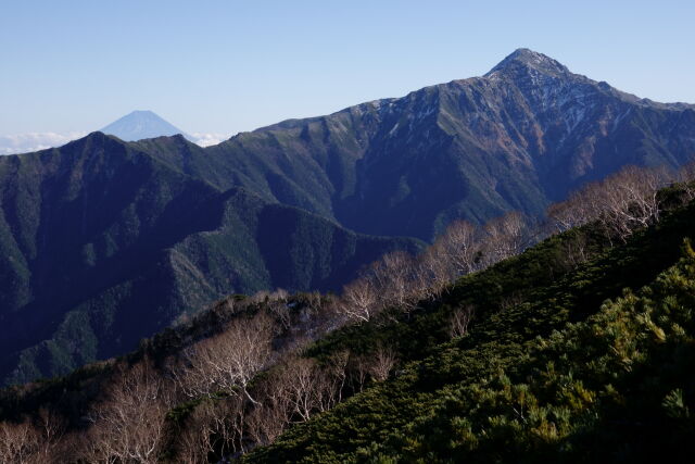 北岳と富士を望む