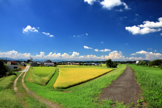 水沢江刺の風景