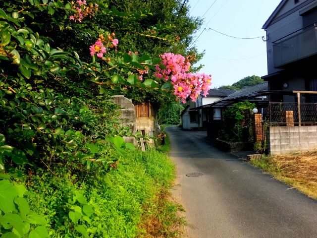 夕方近くの田舎道