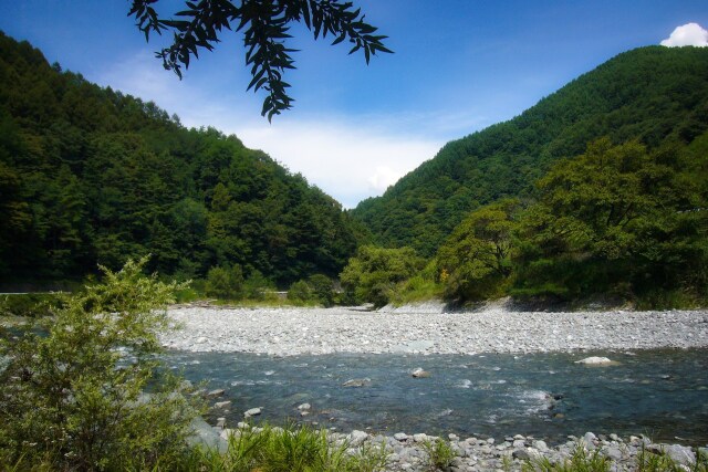 木陰と清流