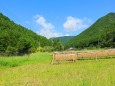 初秋の里山