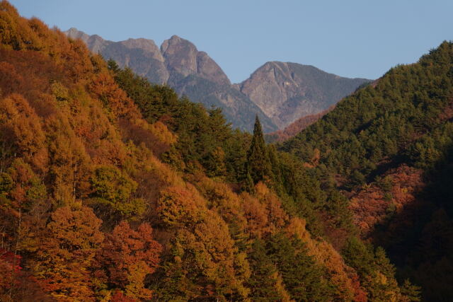 鋸岳を望む