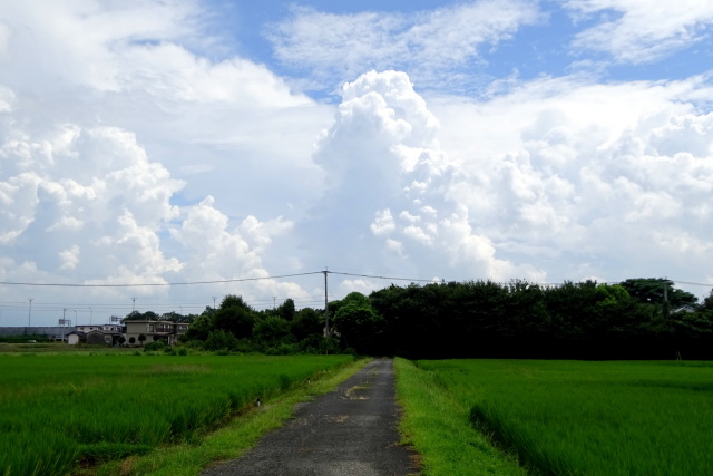 遠慮気味秋の青空と元気な夏の雲