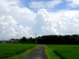 遠慮気味秋の青空と元気な夏の雲