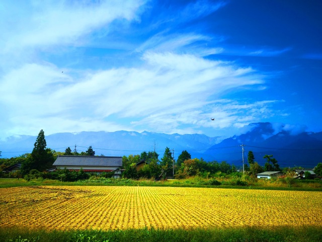 白馬村