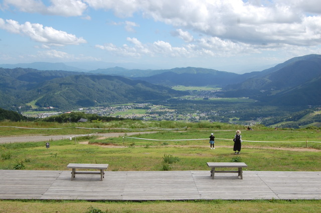 夏の思い出 2023年