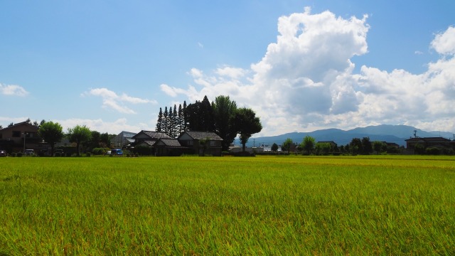 砺波の田園風景