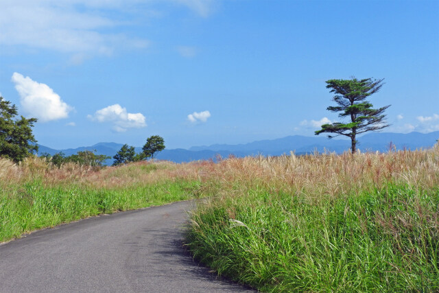 初秋の高原 4