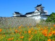 初秋の富山城