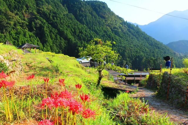 初秋の里山