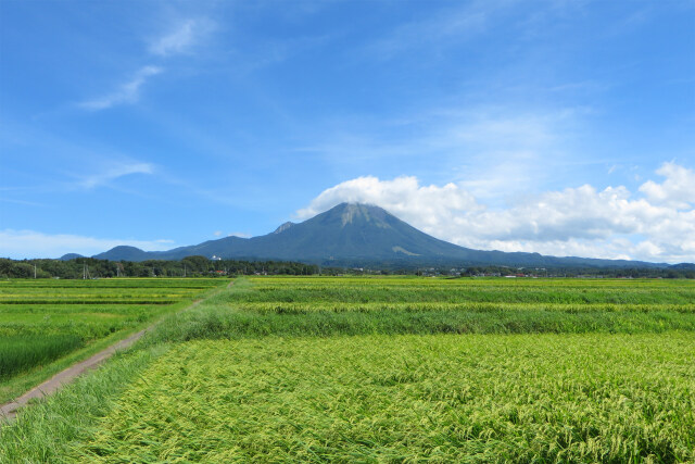 大山 初秋