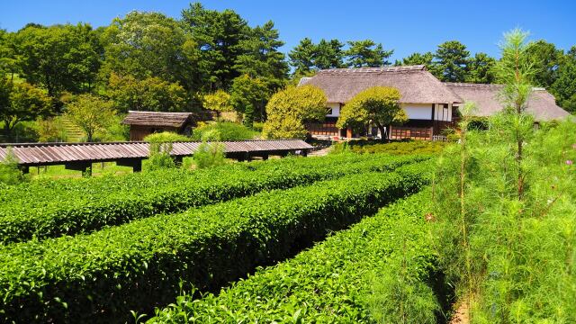 古民家のある風景