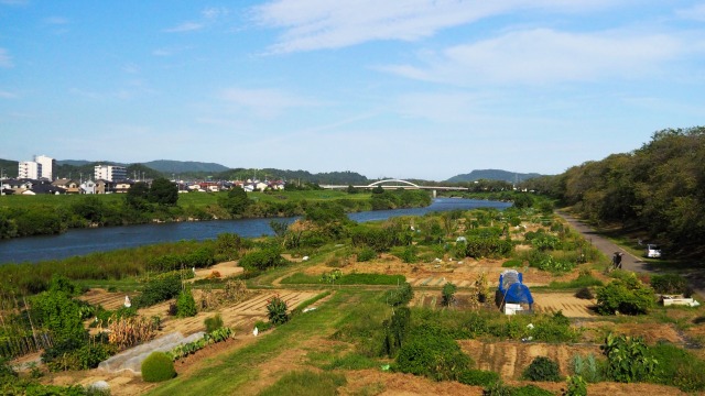 秋の船岡城址公園