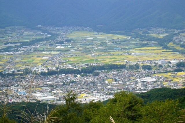 秋の町