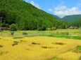 秋の里山