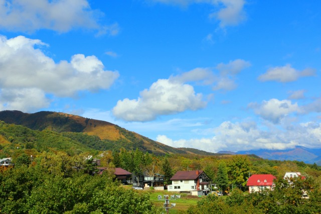 秋の栂池高原