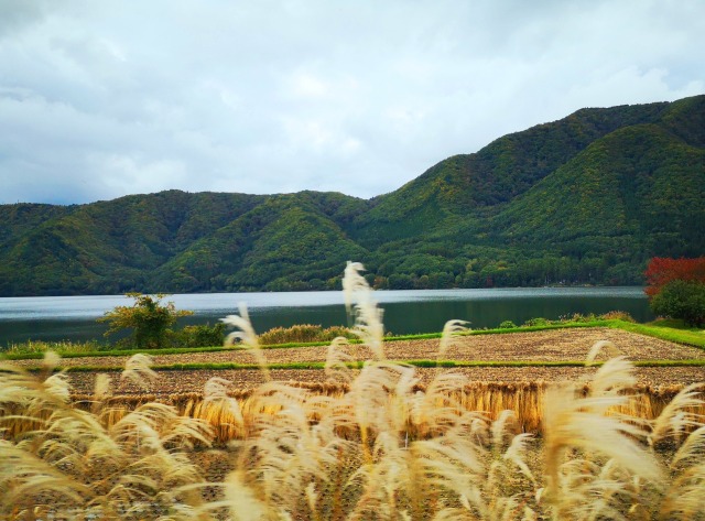 秋の白馬村