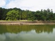 秋の毛越寺庭園