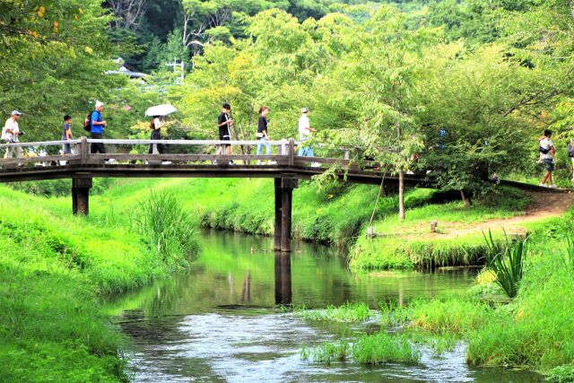 秋の忍野村