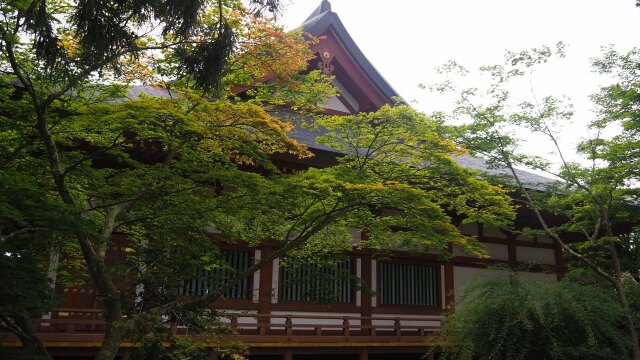 秋の毛越寺