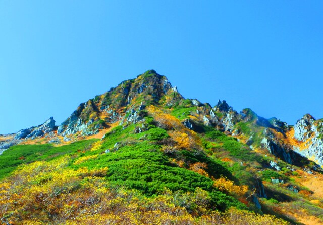 秋の駒ヶ岳